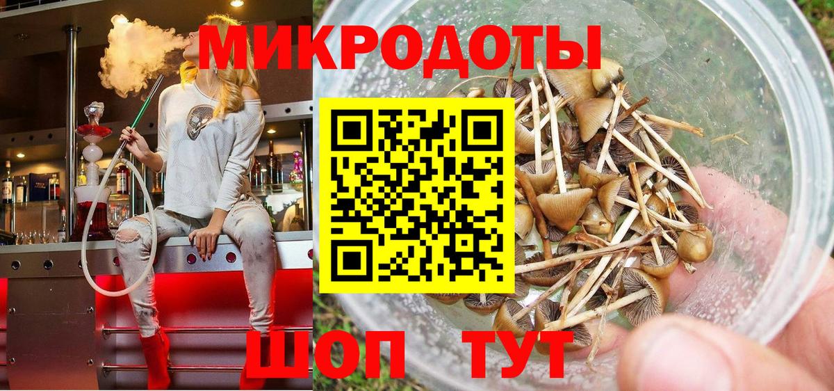 Галлюциногенные грибы мухоморы  Вход с VPN  Кондопога 